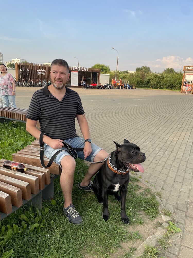 ���������� ������, ���� ������� ���������, 45 ���, ������������ ��� ������, ����� � ���������, c�������� ���������