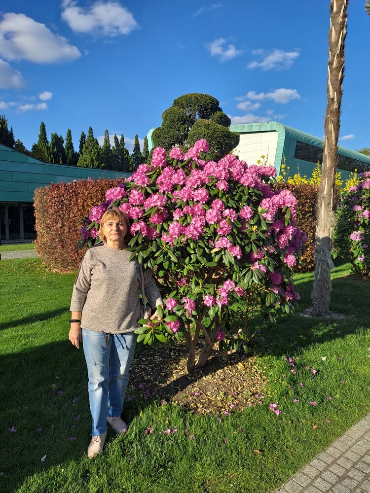 ���������� ����, ���� ������� �������, 68 ���, ������������ ��� c�������� ���������