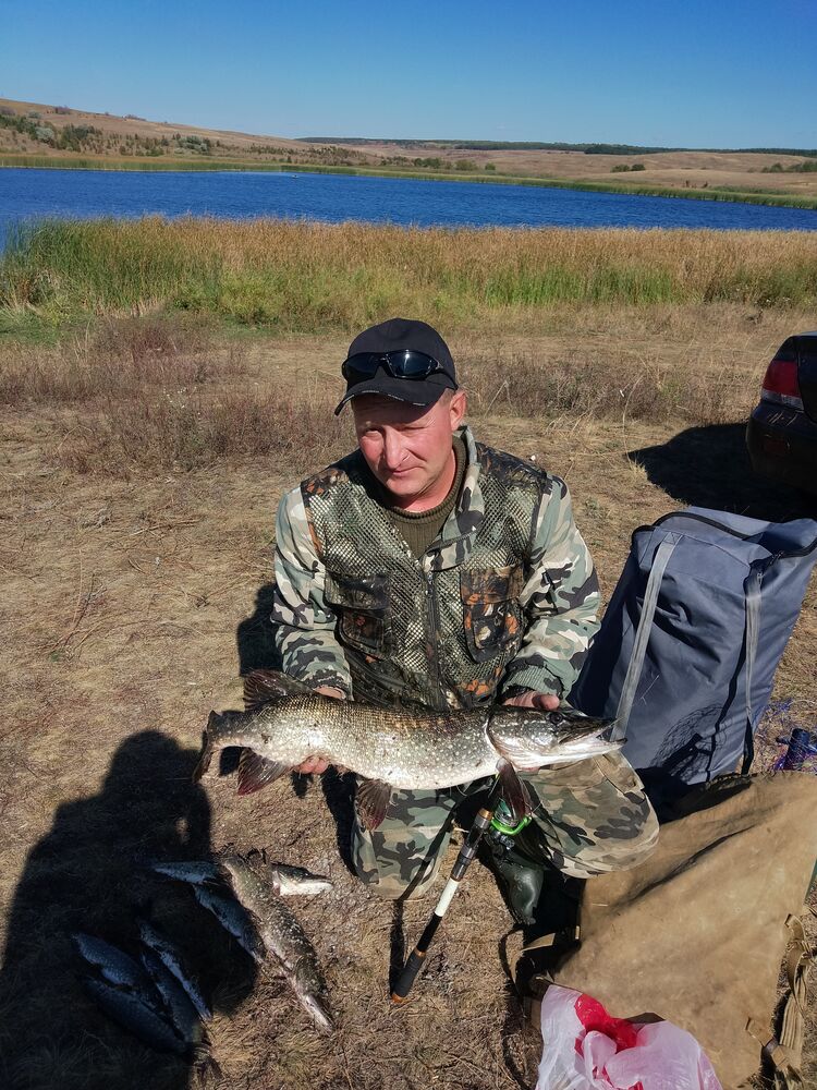 ���� 55663225 ������� ������, 42 ����, ���� ���������� � ������