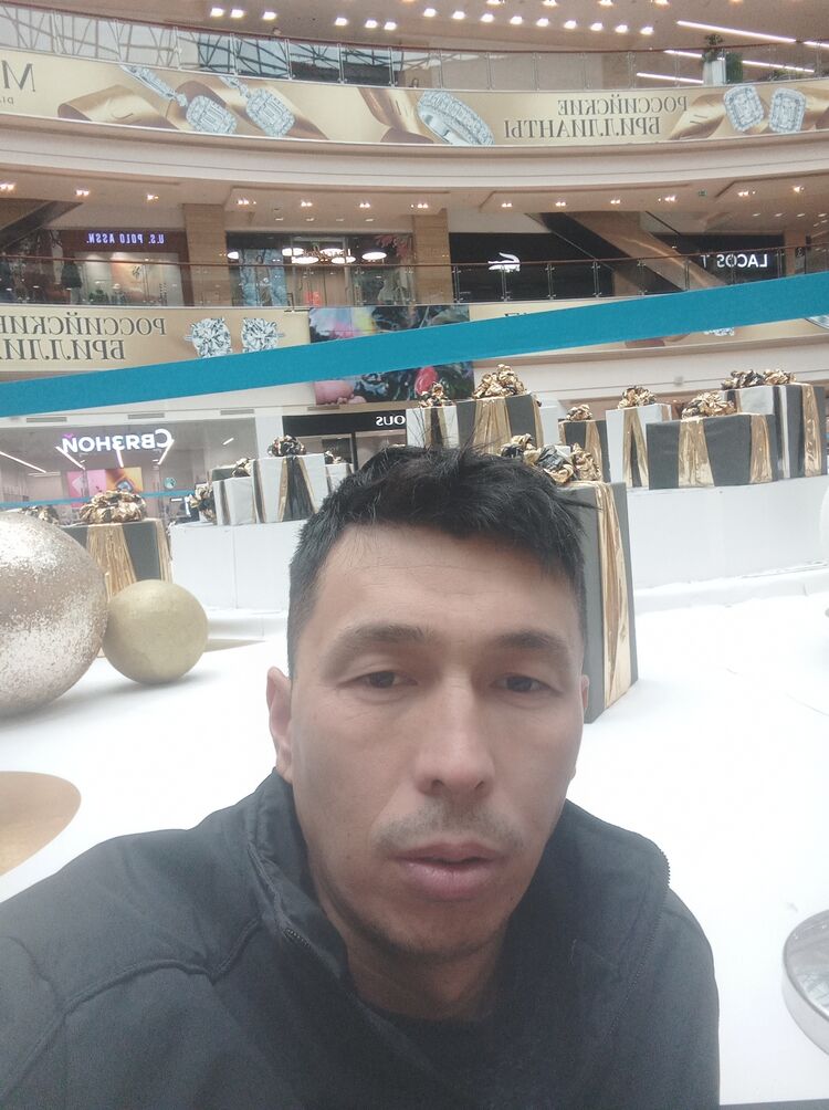  34254955  , 31 ,    