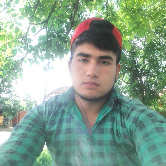  47715455  , 24 ,    