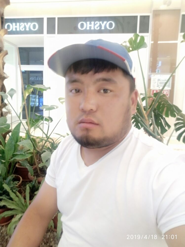 ���������� ������, ���� ������� ALIK, 36 ���, ������������ ��� ������, ����� � ���������, c�������� ���������