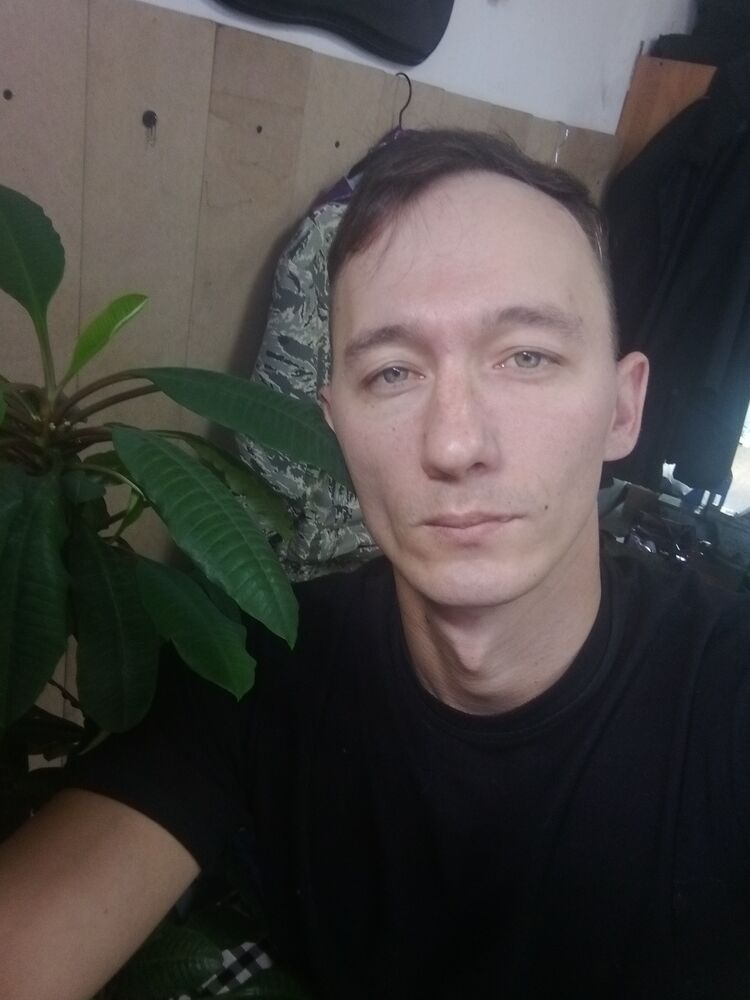  47395215  , 31 ,    