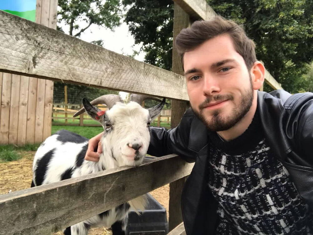 ���� 56213475 ������� �����, 32 ����, ���� ���������� � ���������