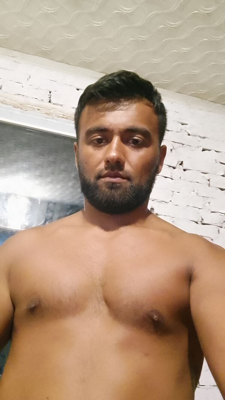  44921145  , 31 ,    
