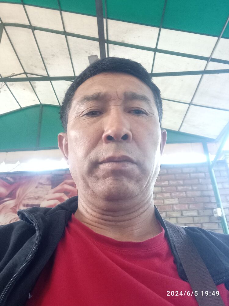  43683715  , 53 ,    
