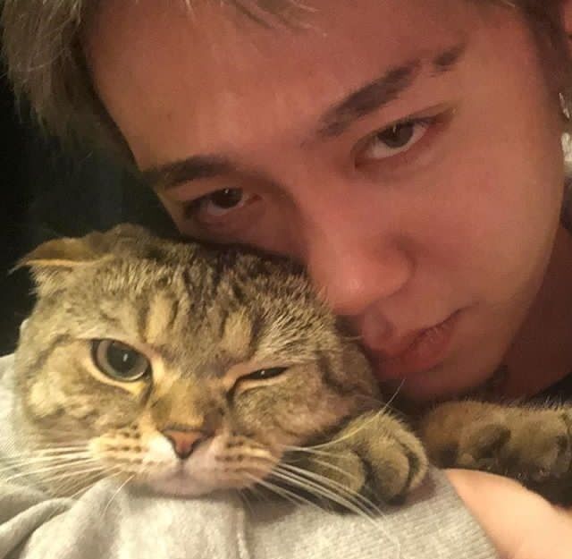 ���� 33924845 ������� ���������, 31 ���, ���� ���������� � ������