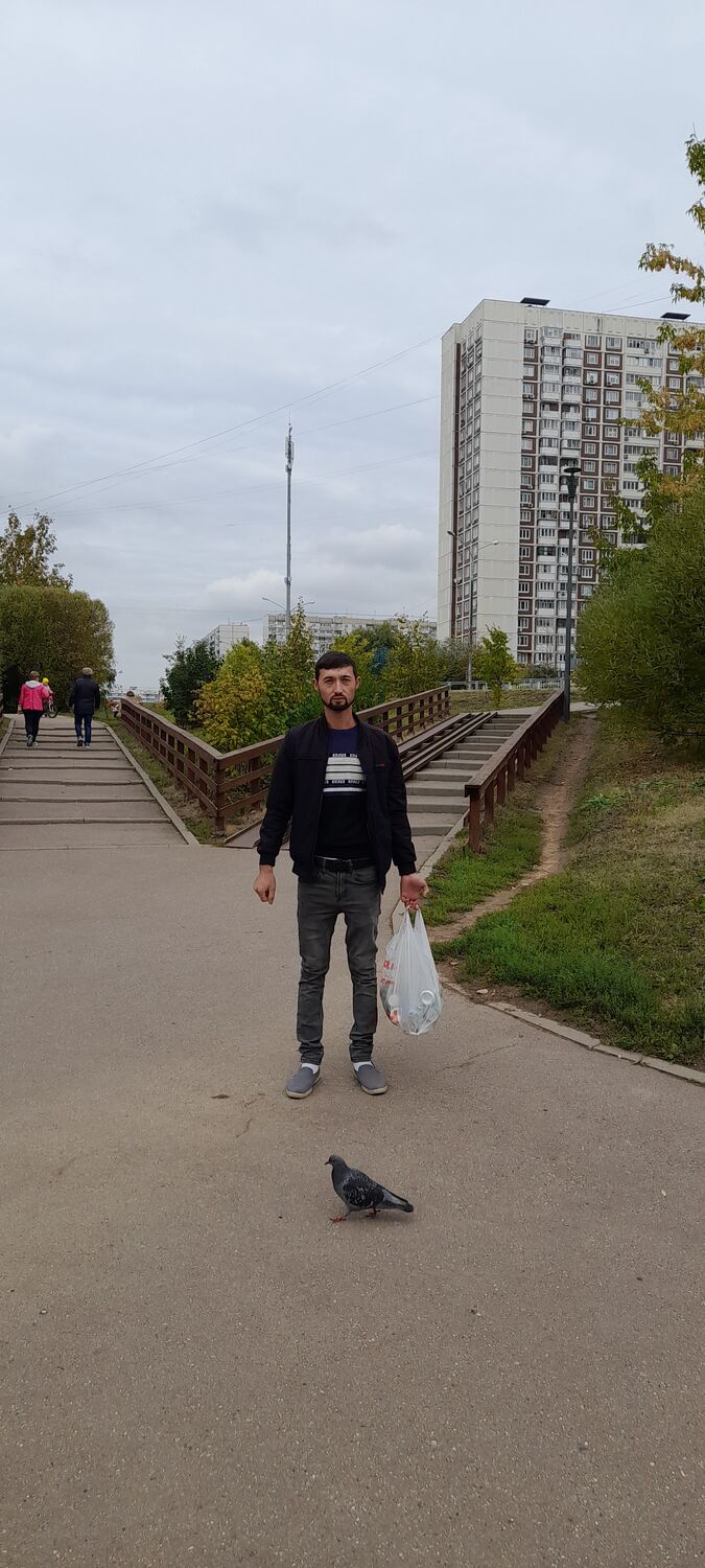 ���� 37799235 ������� ������, 33 ����, ���� ���������� � ����������