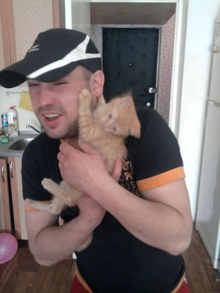 ���� 26306845 ������� ����, 41 ���, ���� ���������� � ������