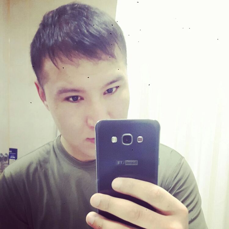  29583625  , 31 ,    