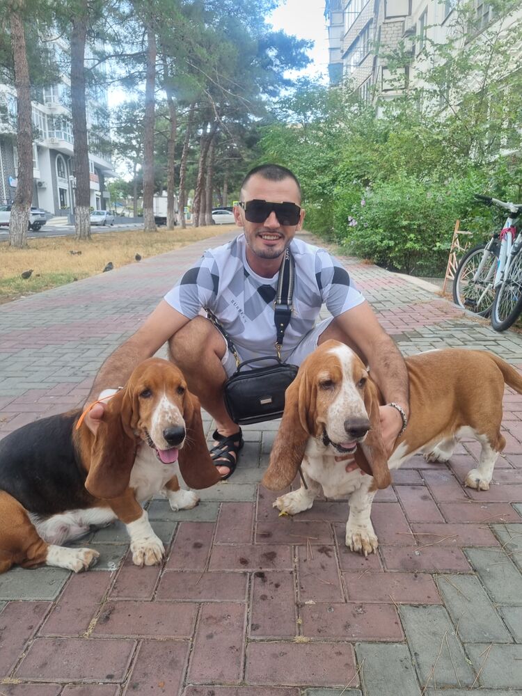 ���������� ���������, ���� ������� ����, 39 ���, ������������ ��� ������, ����� � ���������