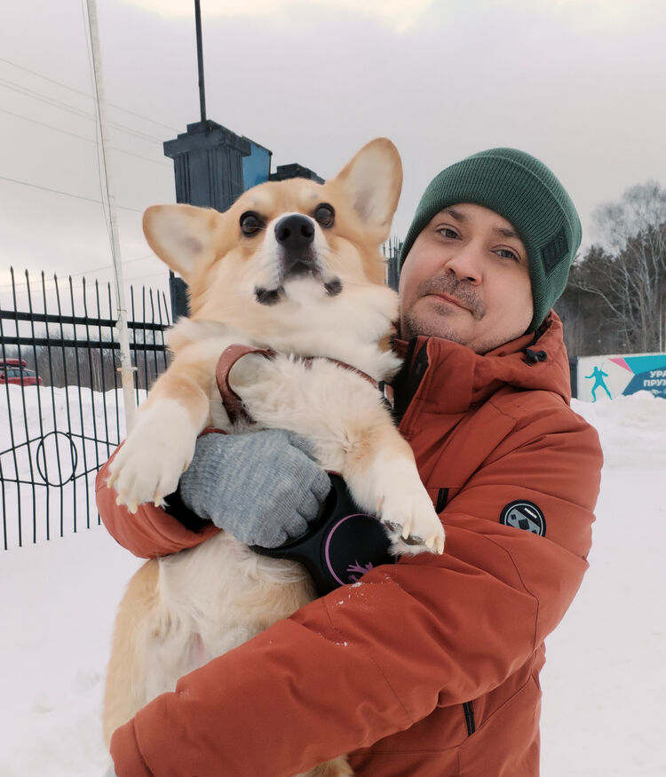 ���������� ��������, ���� ������� ����, 36 ���, ������������ ��� ������, ����� � ���������, c�������� ���������, ���������