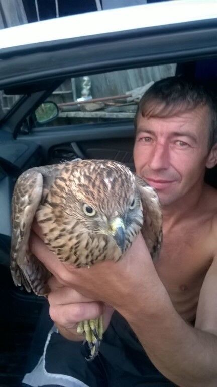 ���� 19774275 ������� ���������, 46 ���, ���� ���������� � ������