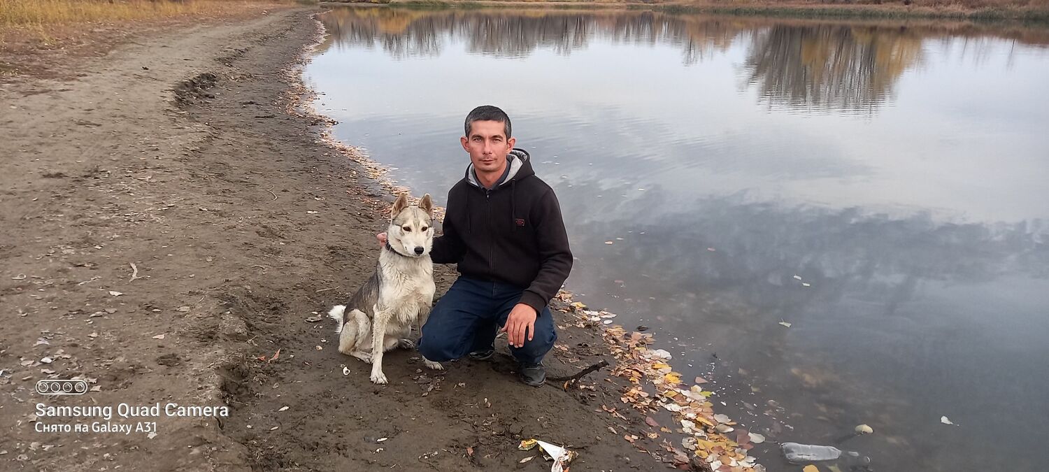 ���� 27006565 ������� ������, 42 ����, ���� ���������� � ���������