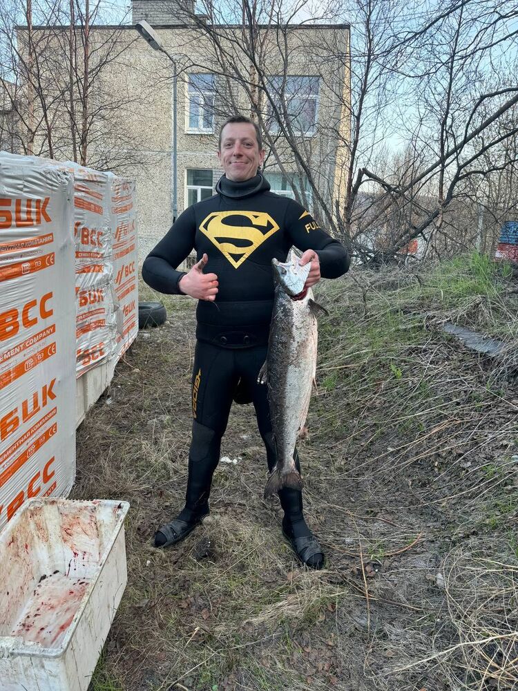 ���������� ��������, ���� ������� �������, 34 ����, ������������ ��� ������, ����� � ���������, c�������� ���������, ���������