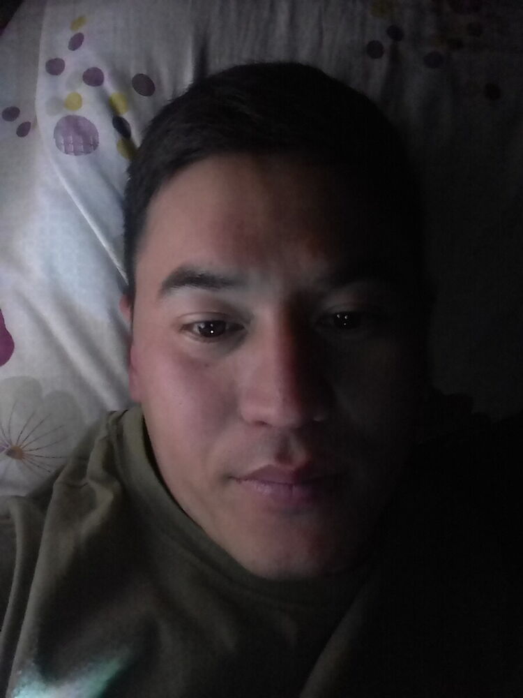  21183655  , 31 ,    