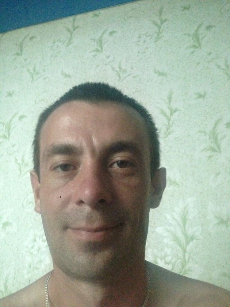  7902765  3181249, 38 ,    