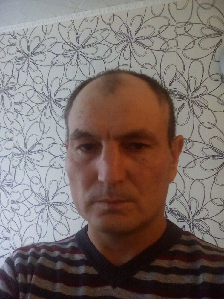 8282815  , 50 ,    