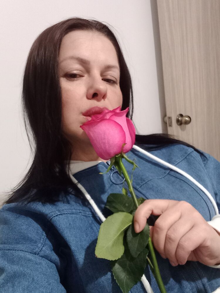  34606555  , 43 ,    
