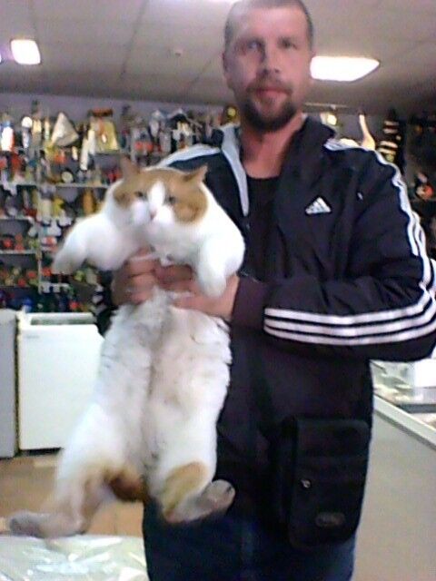 ���������� �����, ���� ������� ������, 54 ����, ������������ ��� ������, ����� � ���������, c�������� ���������