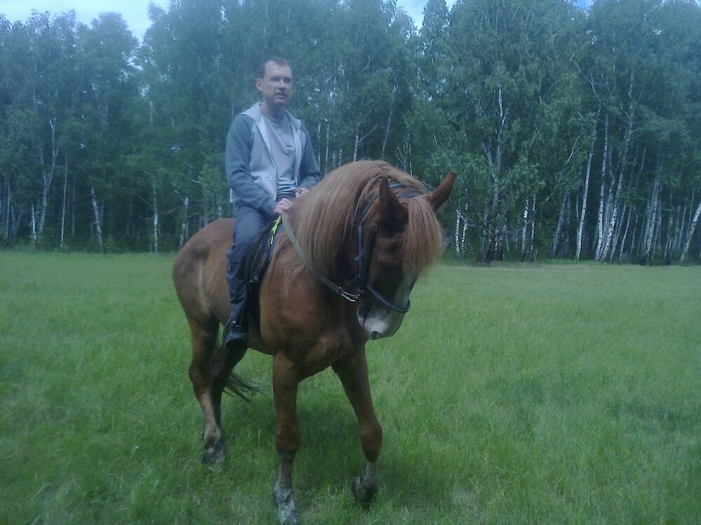 ���������� ���������, ���� ������� Kvv74, 52 ����, ������������ ��� ������