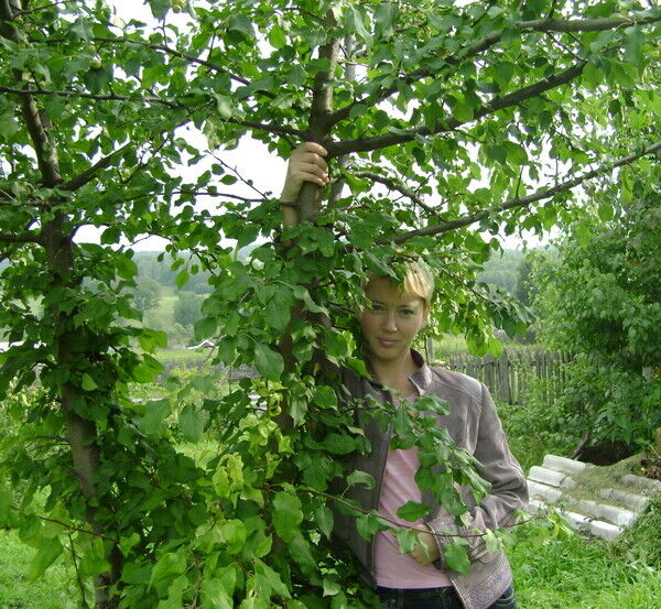 ���������� ����������, ���� ������� �����, 43 ����, ������������ ��� ������, ����� � ���������