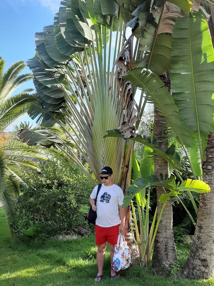 ���� 19109635 ������� �������, 36 ���, ���� ���������� � ���������