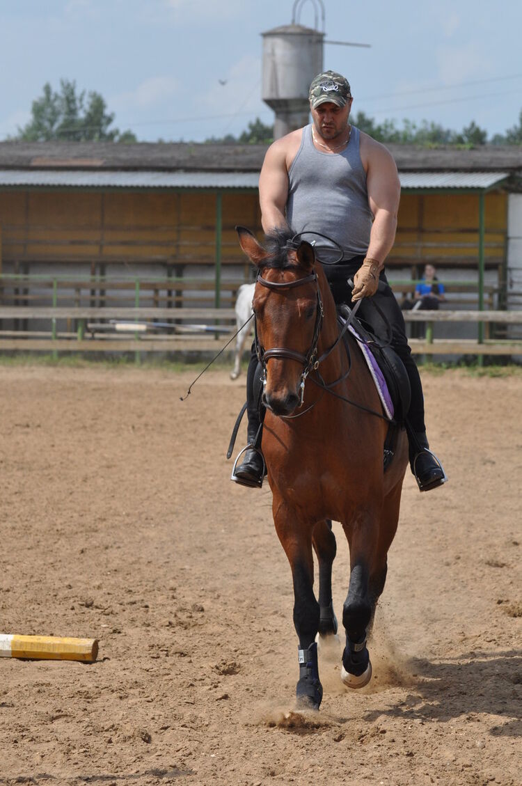 ���� 8452225 ������� ����, 53 ����, ���� ���������� � ������