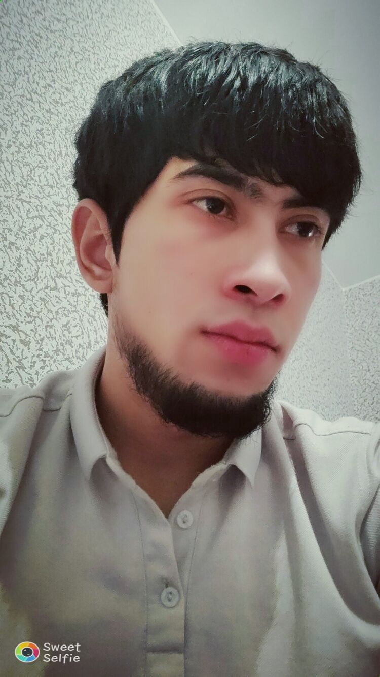 ���� 33602665 ����� ������, 24 ����, ���� ���������� � �����-����������