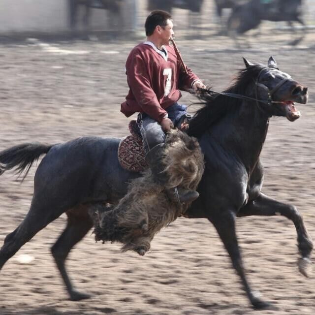 ���������� ������-����, ���� ������� ������, 46 ���, ������������ 