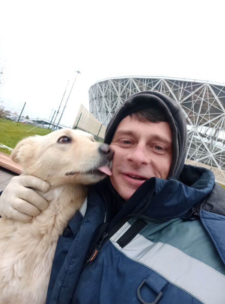  36234025  Bogdan, 42 ,    