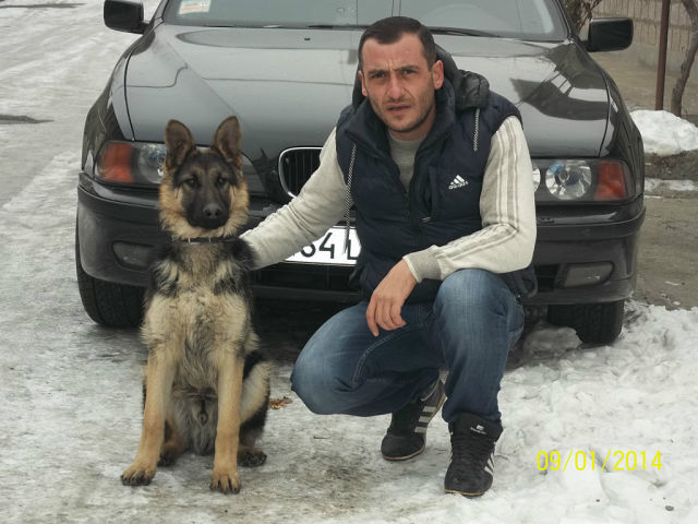  4394085  A 5555, 46 ,    --