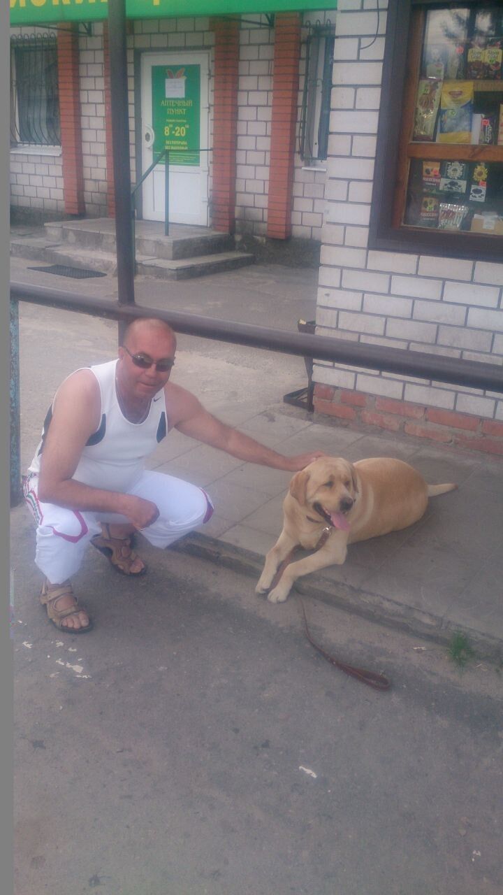 36475655  , 50 ,    