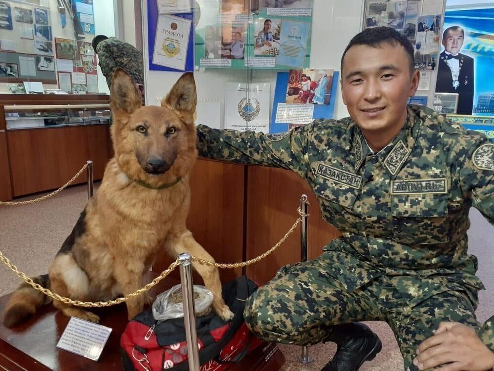 ���� 29707575 ������� ����, 29 ���, ���� ���������� � ������