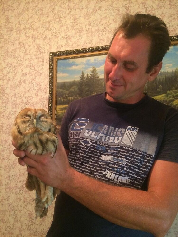 ���� 22451805 ������� ����, 43 ����, ���� ���������� � ��������