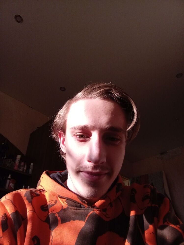  41338335  , 20 ,    