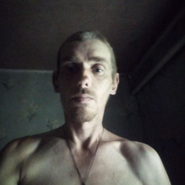  33596355  , 47 ,    