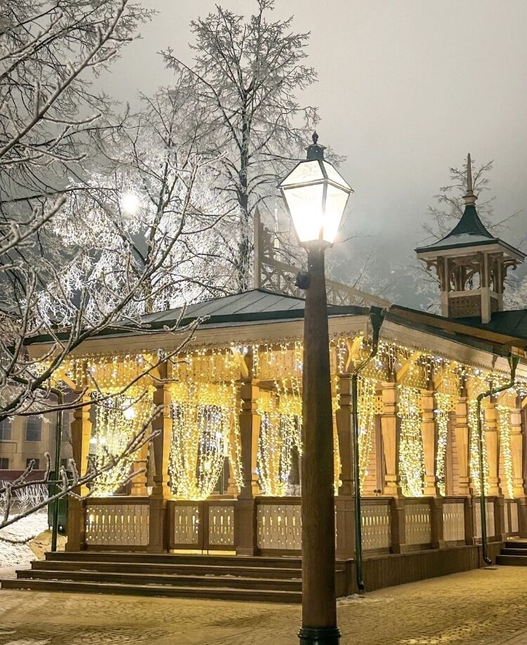  49630585  Irina, 52 ,    