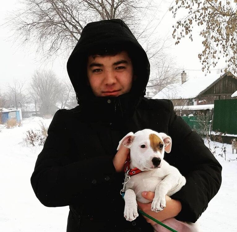 ���� 25169335 ������� Asad, 27 ���, ���� ���������� � ���������