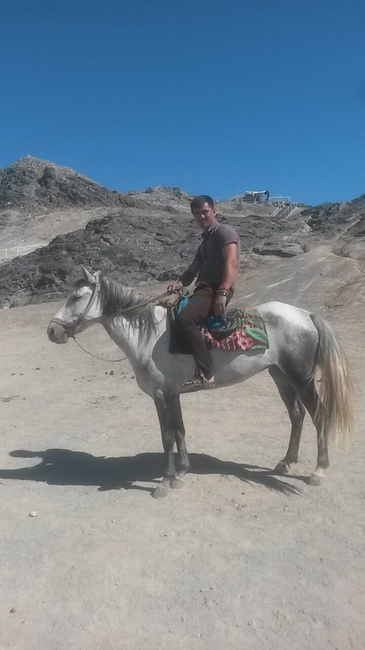 ���������� �����-���������, ���� ������� ������, 35 ���, ������������ ��� ������, ����� � ���������, ���������