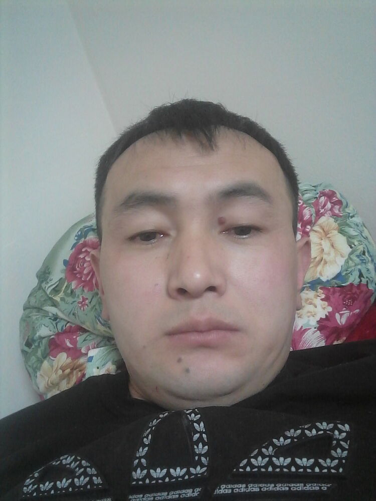 ���� 19197505 ������� Tilek, 36 ���, ���� ���������� � ������