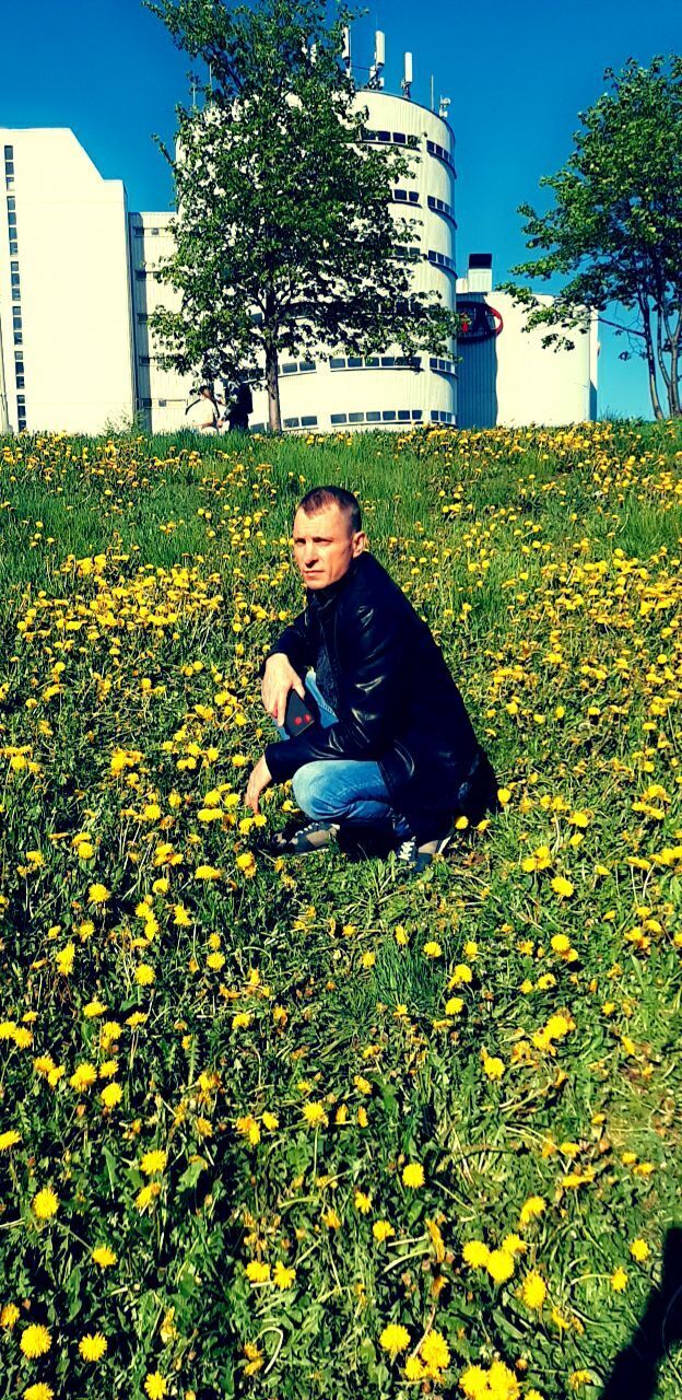 ���������� ������, ���� ������� �������, 50 ���, ������������ ��� ������, ����� � ���������, c�������� ���������, ���������