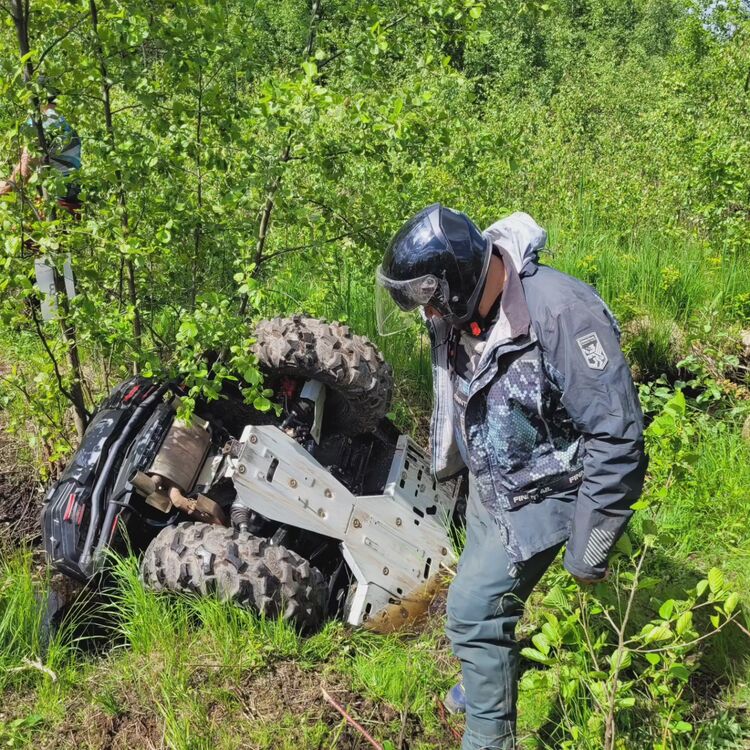 ���� 35642475 ������� ����, 38 ���, ���� ���������� � �������