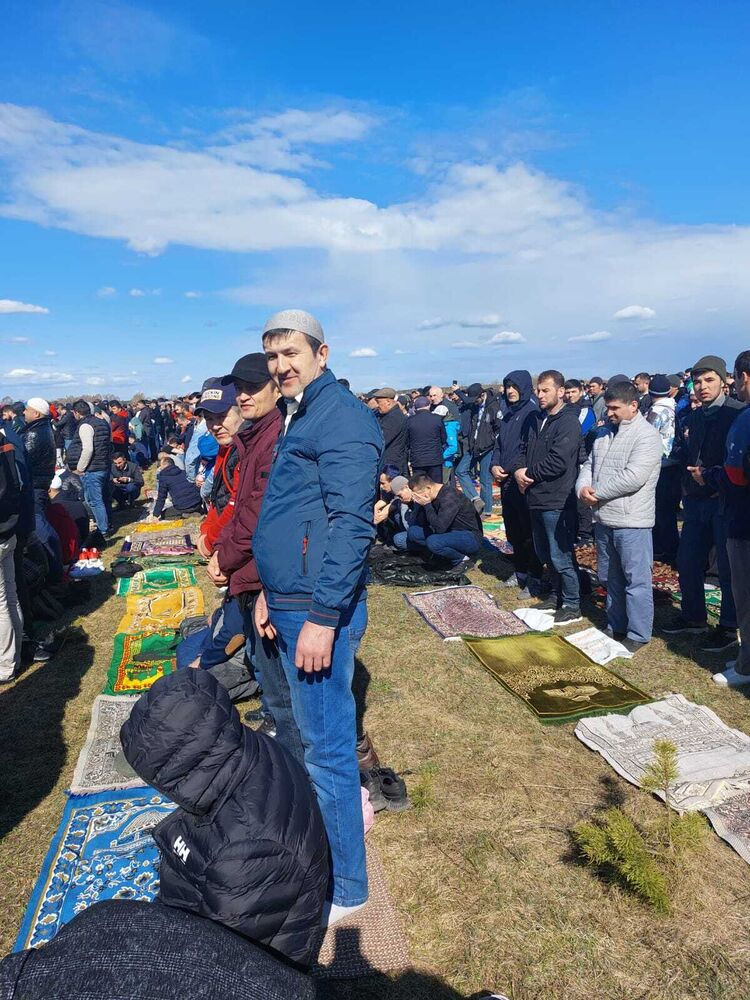 ���������� �����, ���� ������� ��������, 44 ����, ������������ ��� ������, ����� � ���������, c�������� ���������, ���������