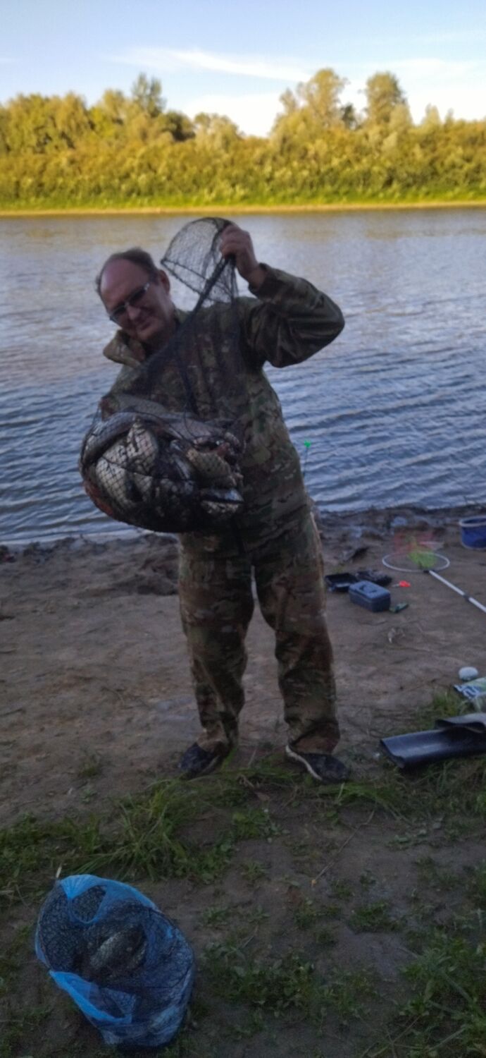 ���� 56016055 ������� ������� ����, 61 ���, ���� ���������� � ������