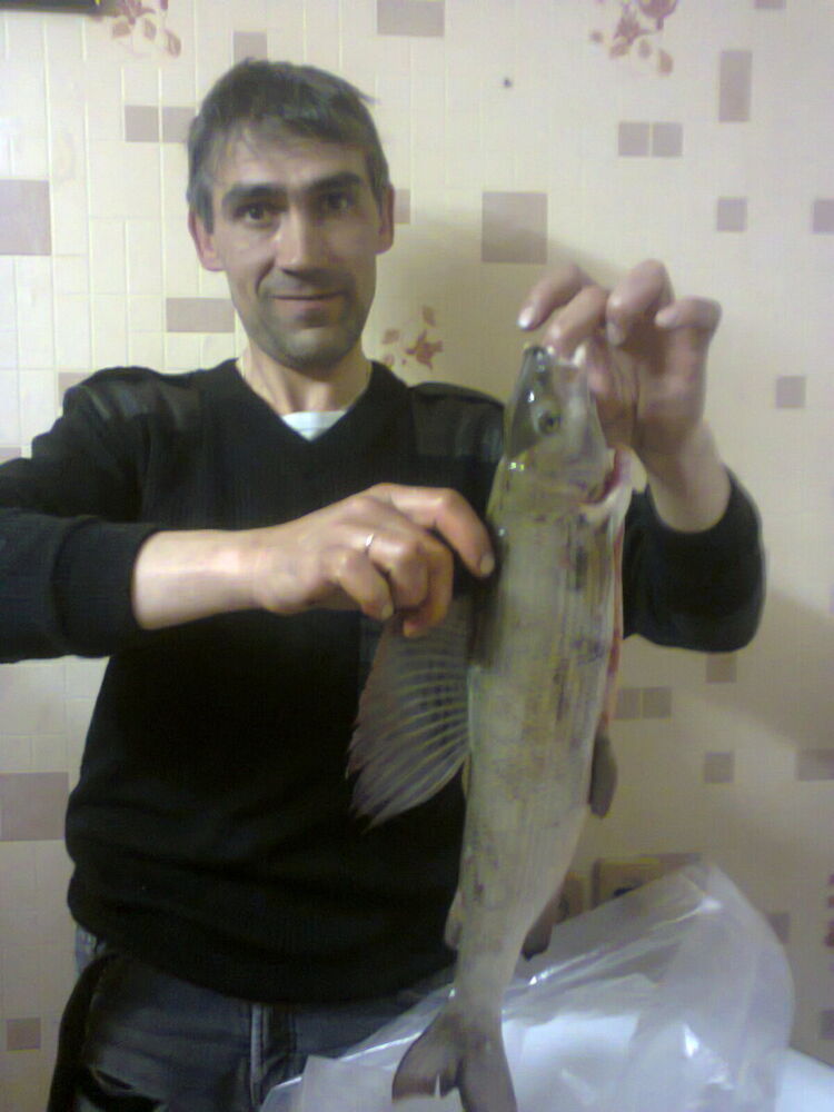  -,   , 52 ,   ,   , c 