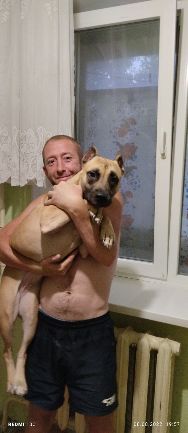 ���� 31219565 ������� ������, 41 ���, ���� ���������� � �����������