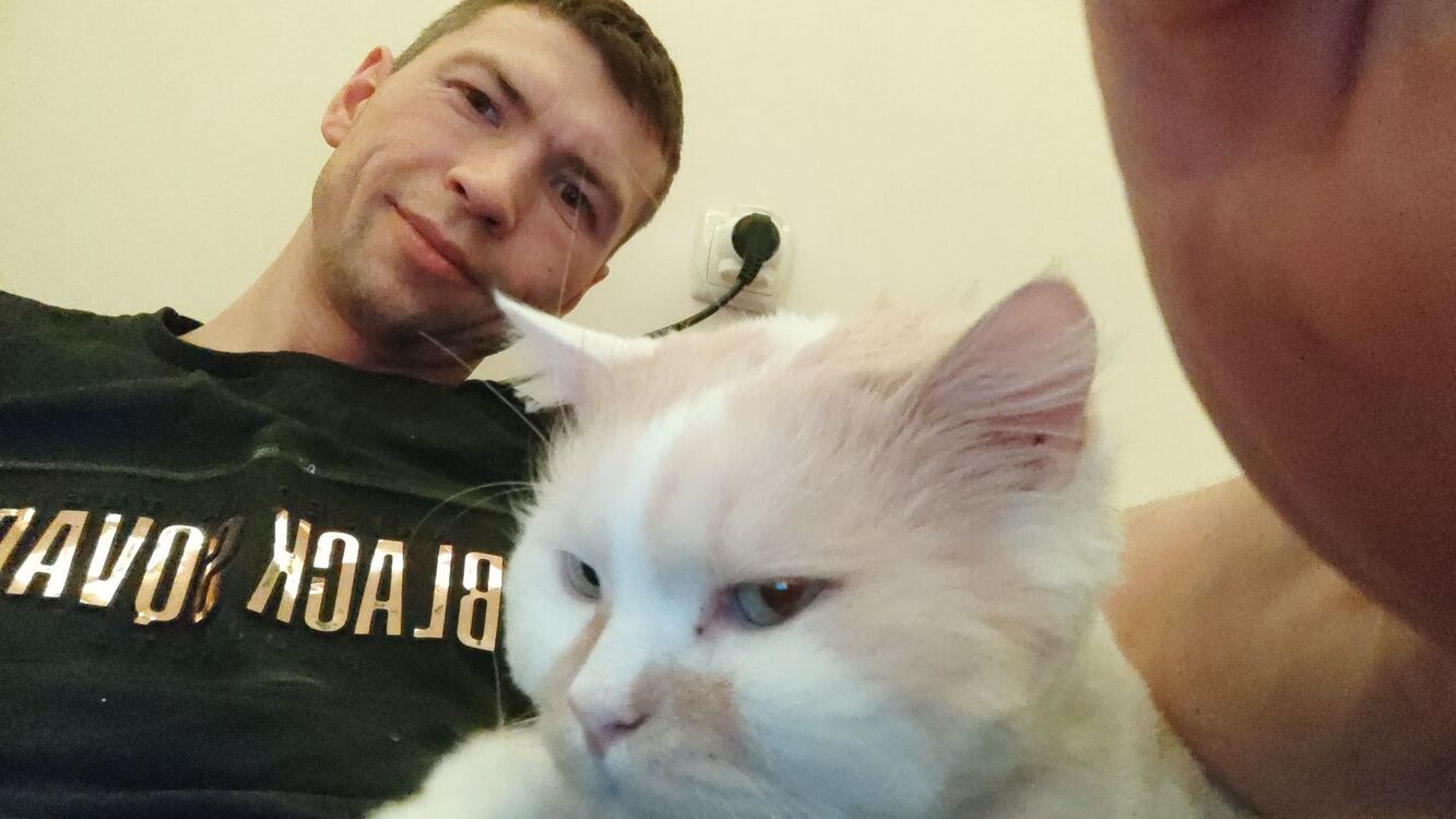  32104405  Sexvstrechi, 32 ,    