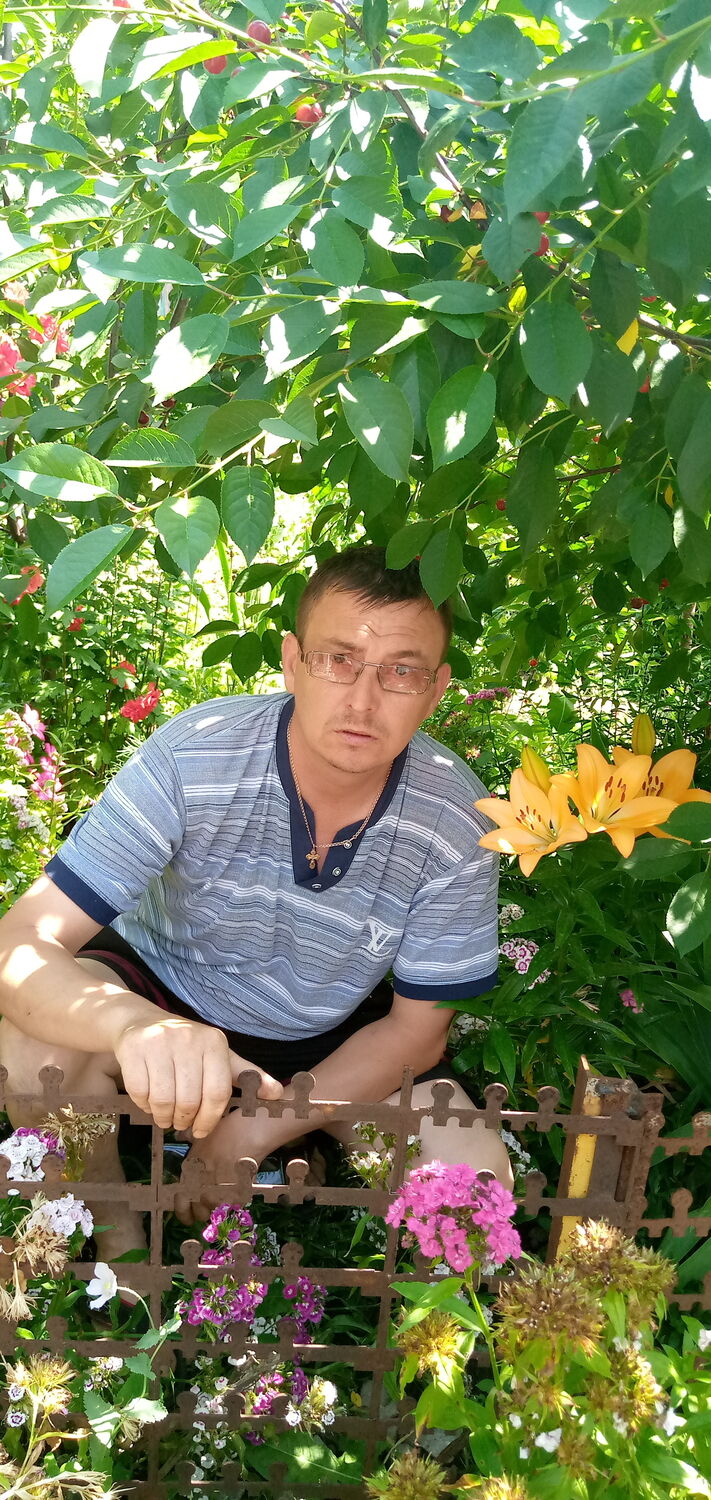 ���� 24878645 ������� �������, 49 ���, ���� ���������� � ���������