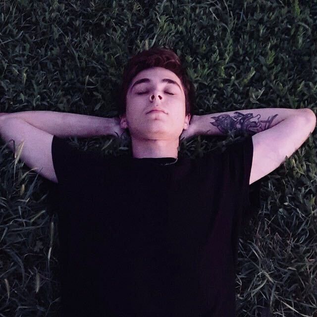  53963815  , 24 ,    --